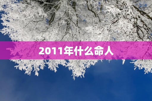 2011年什么命人