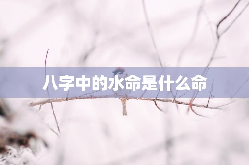 八字中的水命是什么命