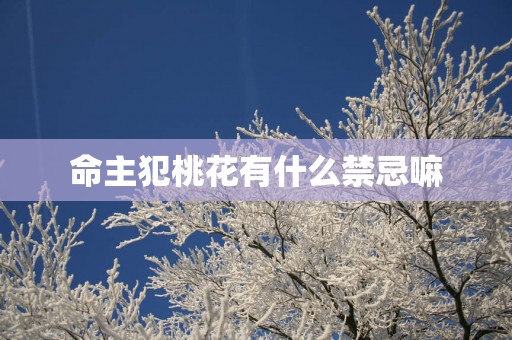 命主犯桃花有什么禁忌嘛