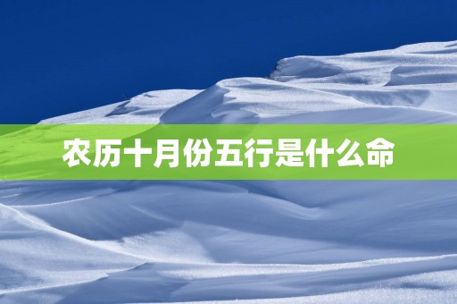 农历十月份五行是什么命