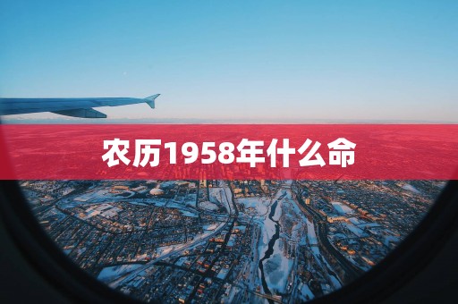 农历1958年什么命