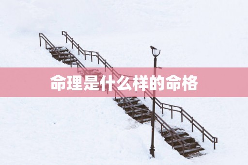 命理是什么样的命格