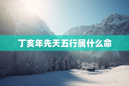 丁亥年先天五行属什么命