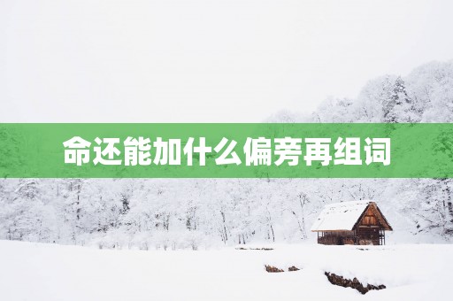 命还能加什么偏旁再组词