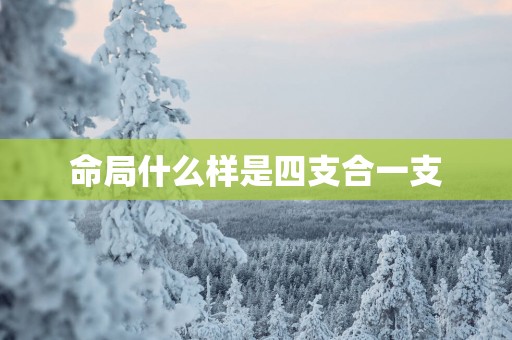 命局什么样是四支合一支