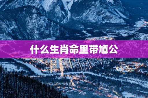 什么生肖命里带馗公