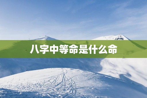 八字中等命是什么命
