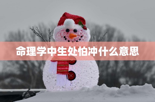 命理学中生处怕冲什么意思