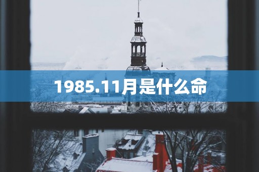 1985.11月是什么命
