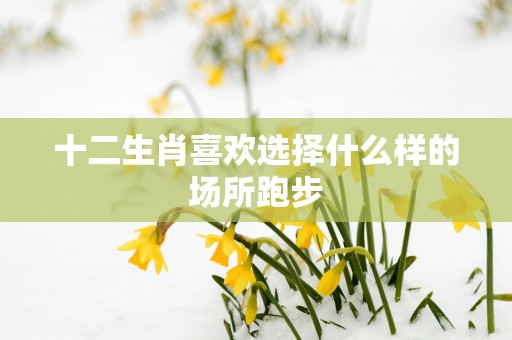 十二生肖喜欢选择什么样的场所跑步