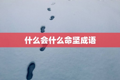 什么会什么命坚成语