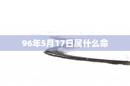 96年5月17日属什么命