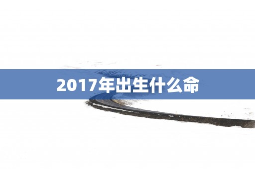 2017年出生什么命