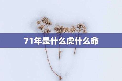 71年是什么虎什么命