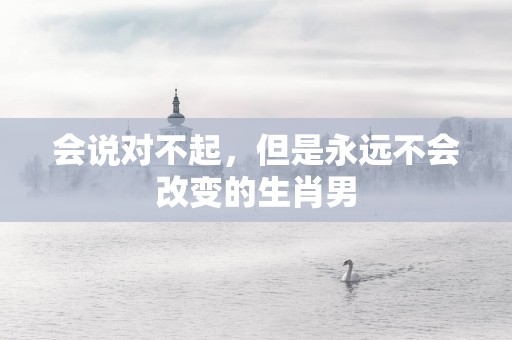 会说对不起，但是永远不会改变的生肖男