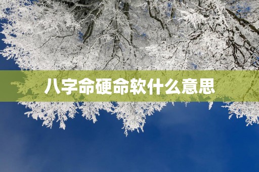 八字命硬命软什么意思