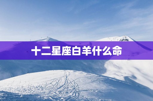十二星座白羊什么命