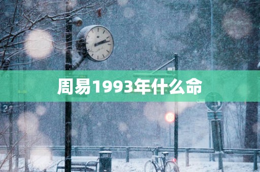 周易1993年什么命