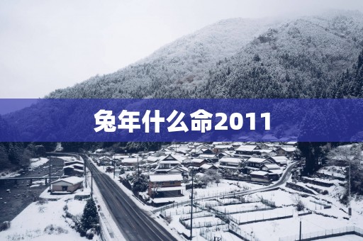马年什么命2011 马年什么命2011