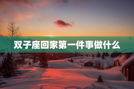 双子座回家第一件事做什么