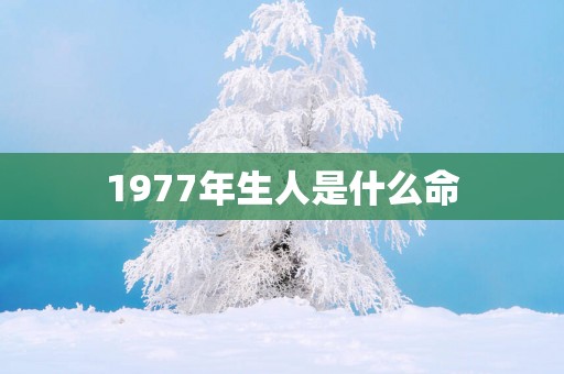 1977年生人是什么命