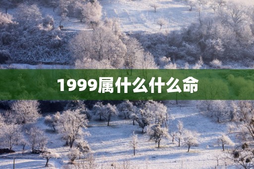 1999属什么什么命