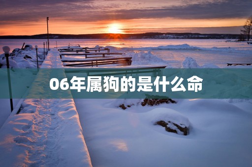 06年属狗的是什么命