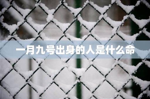 一月九号出身的人是什么命