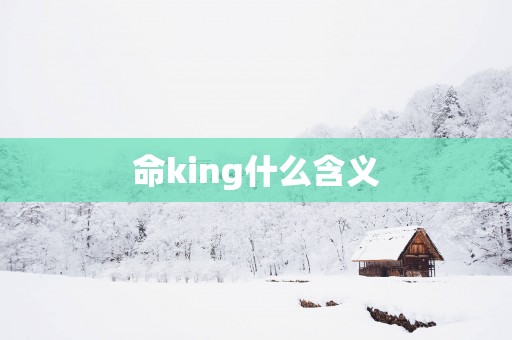 命king什么含义