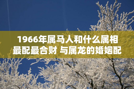1966年属马人和什么属相最配最合财 与属龙的婚姻配怎么样 1966年属马人和什么属相最配最合财 与属龙的婚姻配怎么样