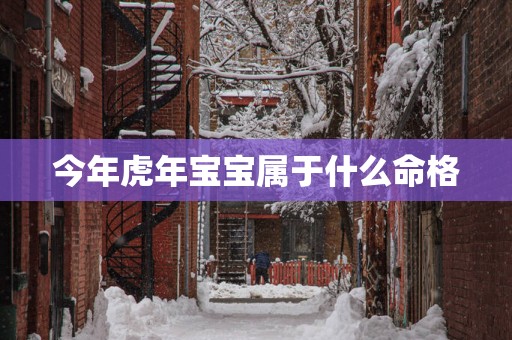 今年蛇年宝宝属于什么命格