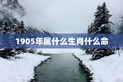 1905年属什么生肖什么命