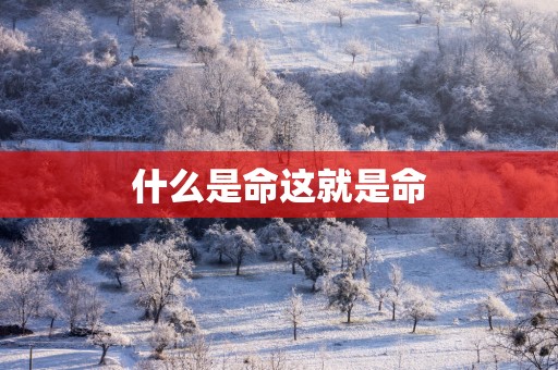什么是命这就是命