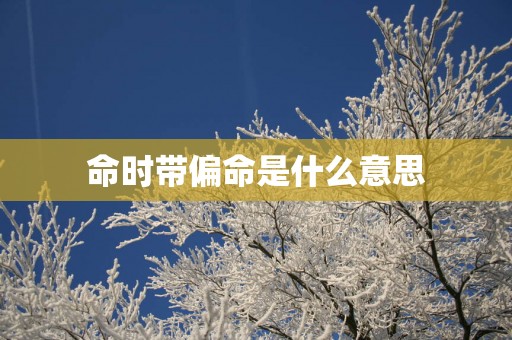 命时带偏命是什么意思