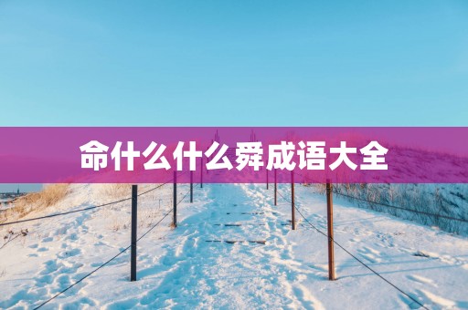 命什么什么舜成语大全