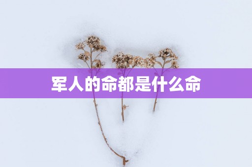 军人的命都是什么命