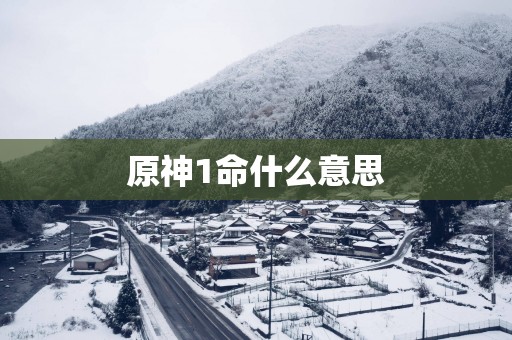 原神1命什么意思