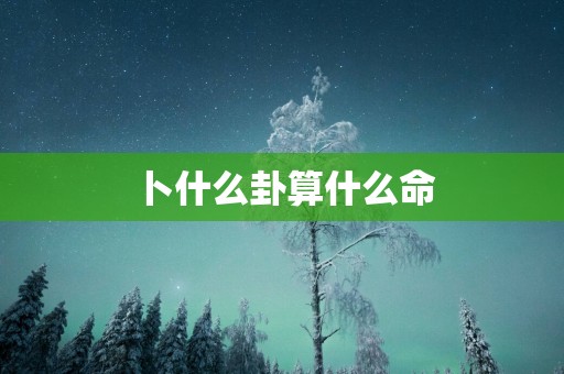 卜什么卦算什么命