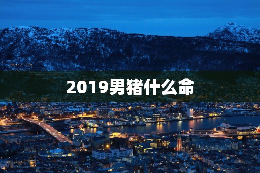 2019男猪什么命