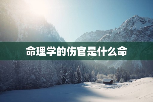 命理学的伤官是什么命