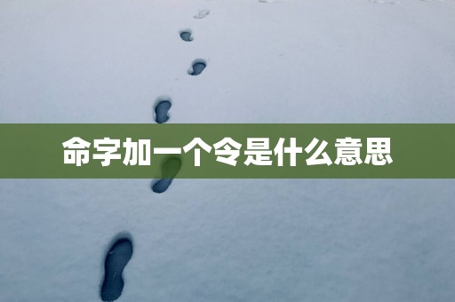 命字加一个令是什么意思