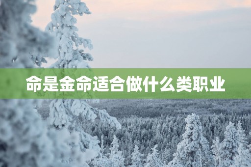 命是金命适合做什么类职业