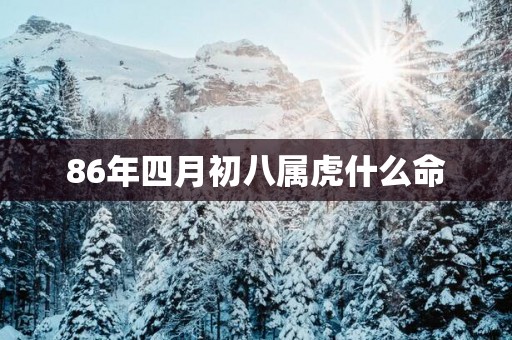 86年四月初八属虎什么命