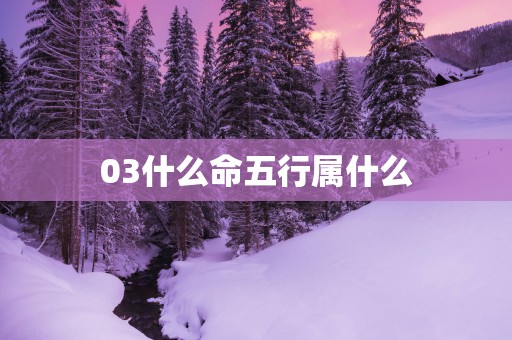 03什么命五行属什么
