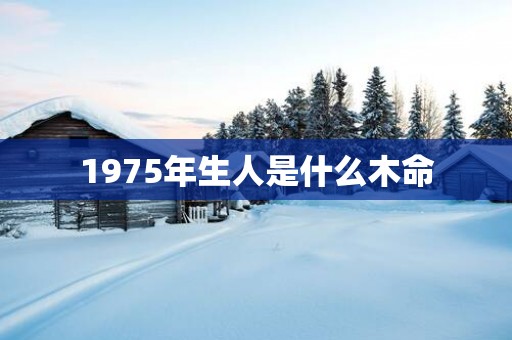 1975年生人是什么木命