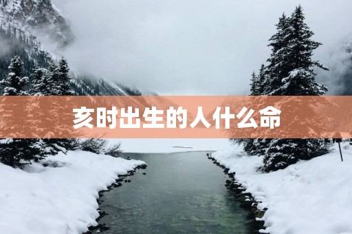 亥时出生的人什么命