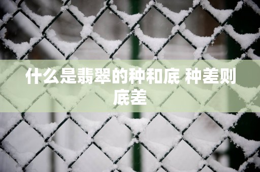 什么是翡翠的种和底 种差则底差