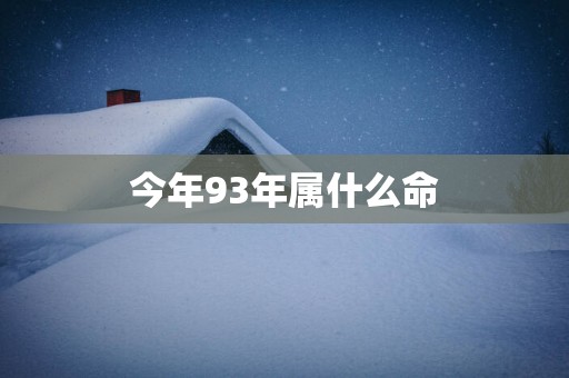 今年93年属什么命