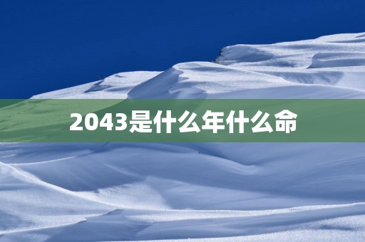 2043是什么年什么命