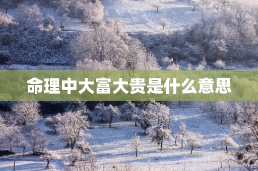 命理中大富大贵是什么意思